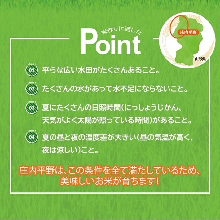 SC0625　令和7年産【玄米】コシヒカリ5kg〔有機JAS認証米〕 HA
