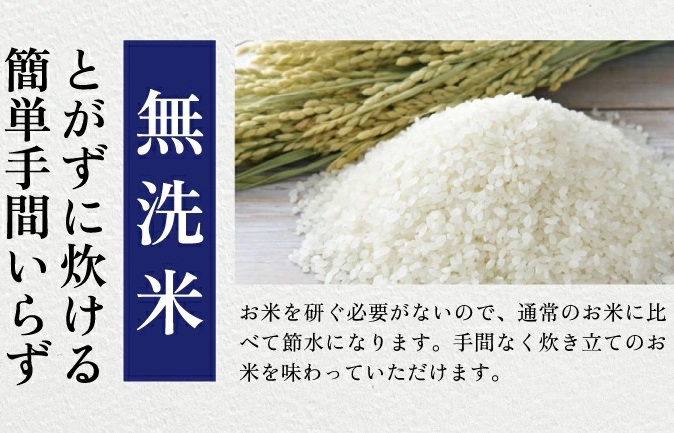 SJ0042　【6回定期便】令和7年産 無洗米 はえぬき　5kg×6回(計30kg) KN