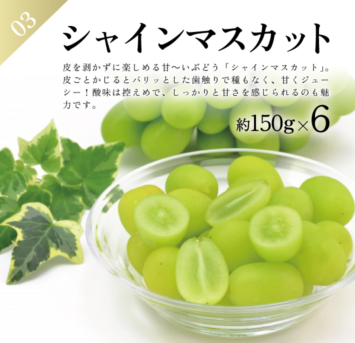 SE0466　【3回定期便】農家直送 おすすめのフルーツ定期便2026 (いちご、庄内メロン、青ぶどう)