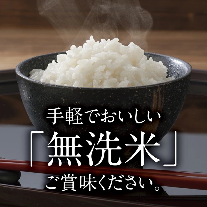 SA2838　令和7年産【無洗米】はえぬき　5kg×1袋 TO