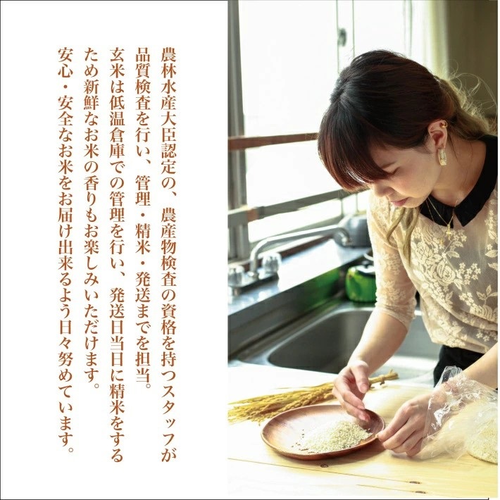 SA2837　令和7年産 【胚芽米】 ひとめぼれ 5kg×1袋 YA