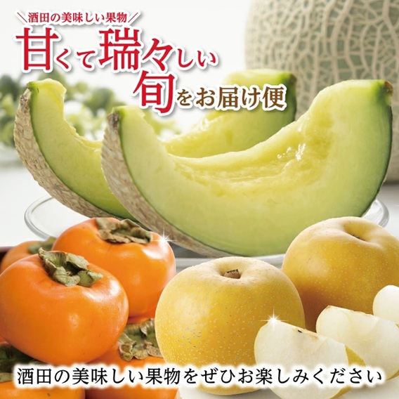 SE0486　【3回定期便】酒田の美味しい果物！甘くて瑞々しい旬をお届け便2026 (アールスメロン、刈屋梨、庄内柿)