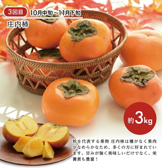 SE0490　【3回定期便】旬のフルーツ マルッとお届け便2026 (紅花メロン、刈屋梨、庄内柿)