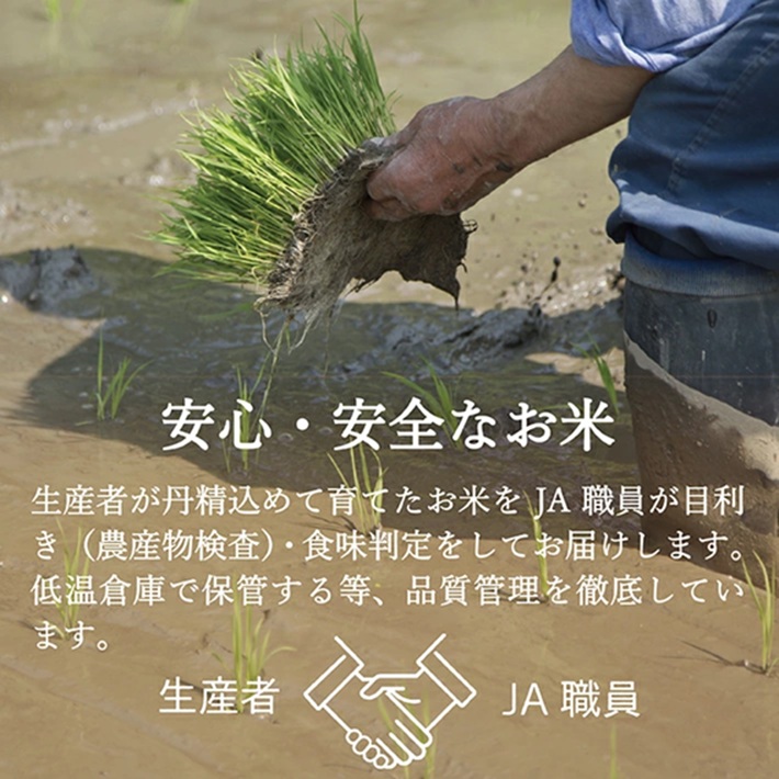 SE0437　2月上旬配送／令和7年産【精米】山形県産 特別栽培米 つや姫　10kg(5kg×2袋) JS