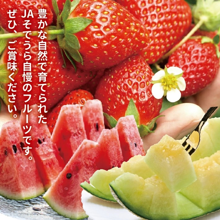 SE0504　【3回定期便】自然の恵み　春・夏フルーツ定期便2026(いちご、青肉メロン、小玉スイカ)