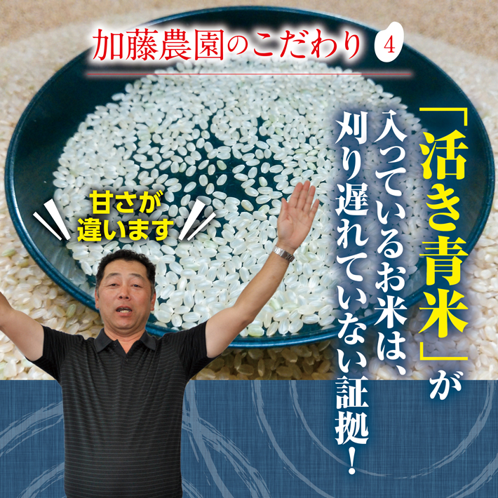 SA2707　令和7年産【精米】特別栽培米コシヒカリ　5kg×1袋「農家直送」 KA