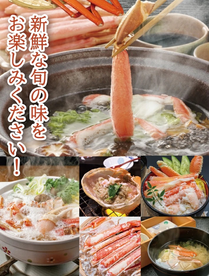 SE0443　春の生・本ズワイガニ　1匹600g程度