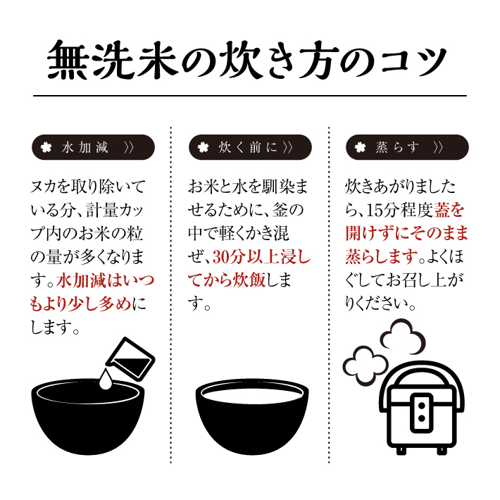 SC0620　【3回定期便】無洗米 はえぬき　2kg×3回(計6kg) SA