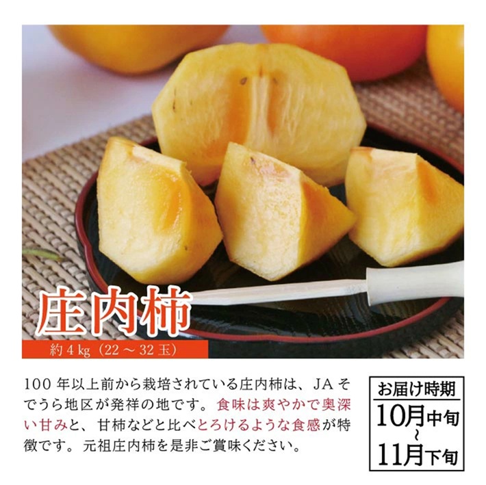 SE0506　【4回定期便】自然の恵み　季節のフルーツ定期便2026(3) (いちご、小玉スイカ、彩りメロン、柿)