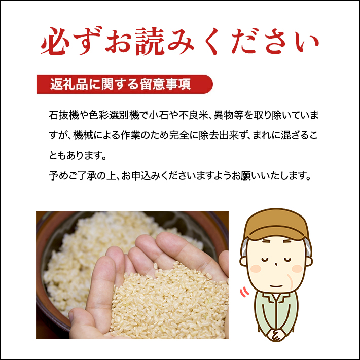 SA2847　令和7年産【白米】ひとめぼれ　5kg(5kg×1袋) YA