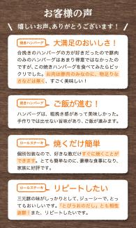 SB0550　平田牧場　日本の米育ち三元豚ハンバーグ＆ロールステーキギフト