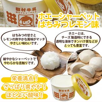 SA0895　庄内平野のおいしいアイスクリームセット　計12個(2種/各6個)【田村牛乳】