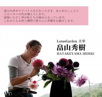 SL0219　インテリアグリーン「ツゲのトピアリー ガーデンM」