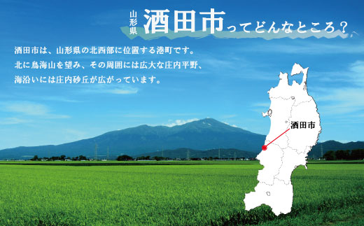 SY0038　【楯野川】 純米大吟醸 光明 山田錦　720ml×1本