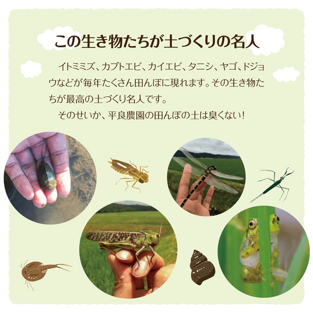 SE0403　令和7年産 【精米】 特別栽培米 つや姫 10kg (5kg×2袋) 「最優秀金賞」受賞農家直送・鳥海山麓やわたの米 TR