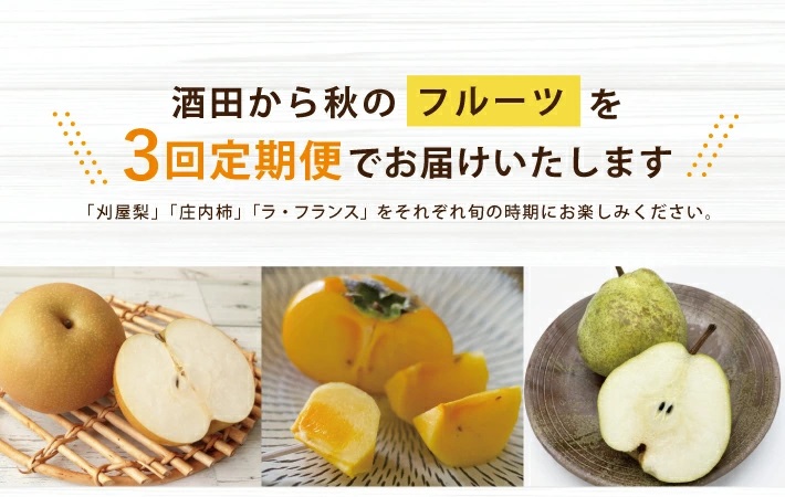 SE0478　【3回定期便】酒田から秋のフルーツ定期便2026 (刈屋梨、庄内柿、ラ・フランス)