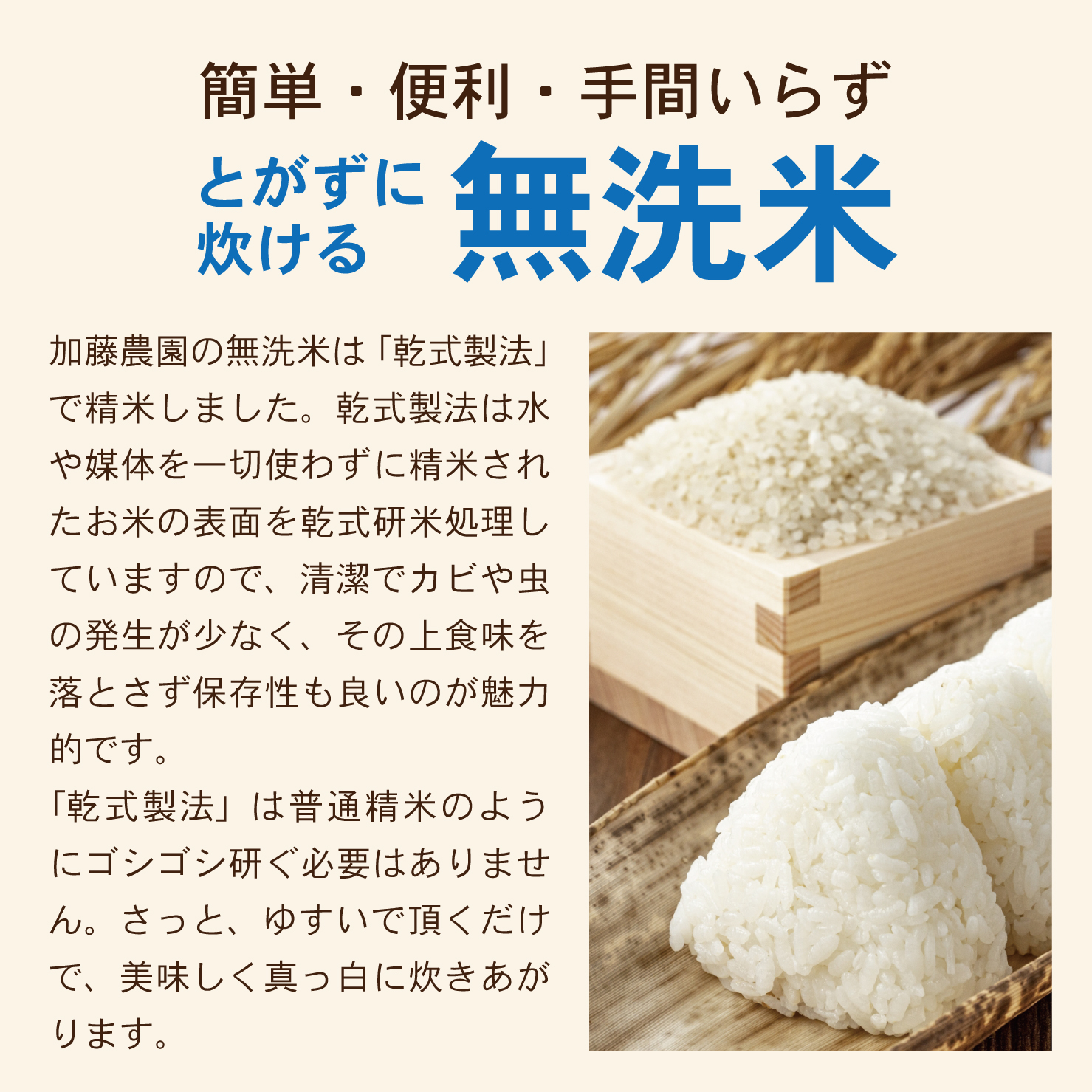 SJ0048　【6回定期便】令和7年産 無洗米 特別栽培米 雪若丸　5kg×6回(計30kg)10月下旬発送開始「農家直送」 KA