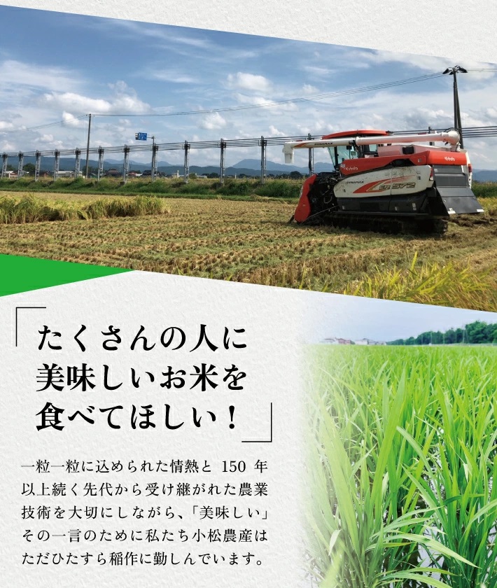 SJ0042　【6回定期便】令和7年産 無洗米 はえぬき　5kg×6回(計30kg) KN