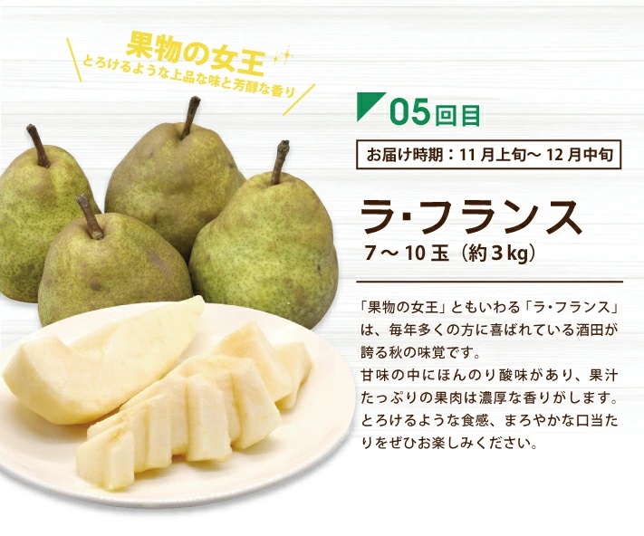 SF0302　【5回定期便】酒田の実り定期便2026 (小玉すいか、アンデスメロン、刈屋梨、庄内柿、ラ・フランス)