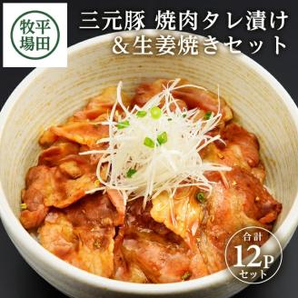SC0511　【平田牧場】日本の米育ち 三元豚 焼肉タレ漬け＆生姜焼き2種セット　計12パック(各140g×6パック)