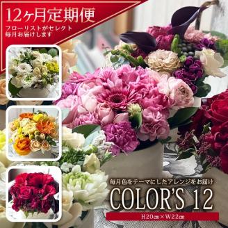 SL0233　【12回定期便】「COLOR'S12」色で飾るフラワーアレンジ