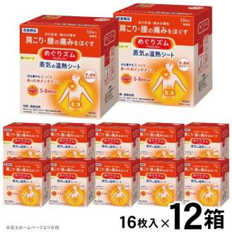 SG0045　めぐりズム 蒸気の温熱シート　肌に直接貼るタイプ　16枚入×12箱