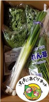 SA0484　酒田市農業女子会が贈るおまかせお野菜セット