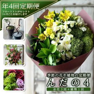 SL0220　【4回定期便】「季節の花や植物の定期便 んだの４」