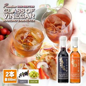 SA0835　飲む酢プレミアム2種セット