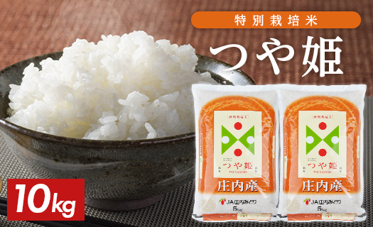 SD0233　特別栽培米 つや姫 5kg×2袋 計10kg 令和7年産米 山形県庄内産 東北 山形県 酒田市 庄内地方 庄内平野 お米 精米 白米 ブランド米 庄内米 ごはん ご飯 農協 産地直送 JA庄内みどり