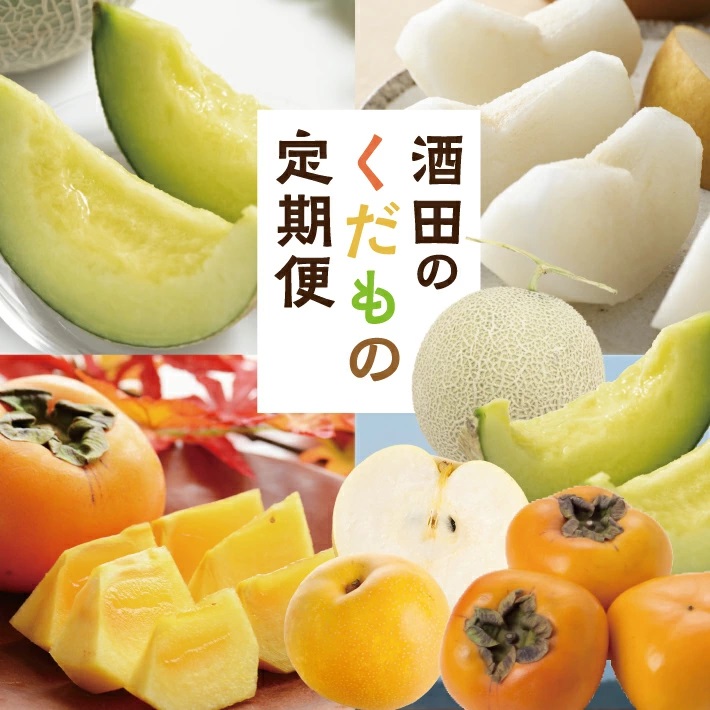 SE0470　【3回定期便】酒田の果物専門店厳選　くだもの定期便2026 (浜王メロン、和梨、庄内柿)