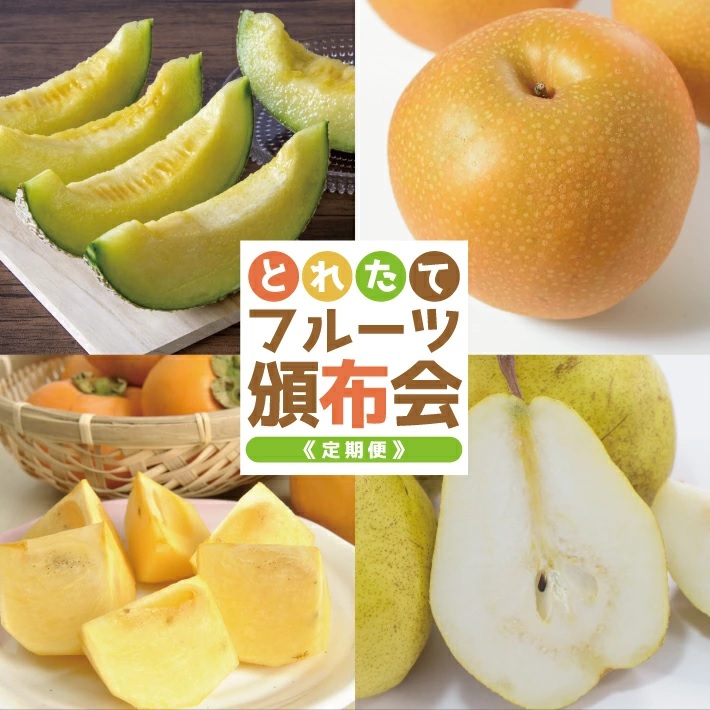 SF0319　【4回定期便】とれたて！フルーツ頒布会2026 (アンデスメロン、和梨、庄内柿、ラ・フランス)