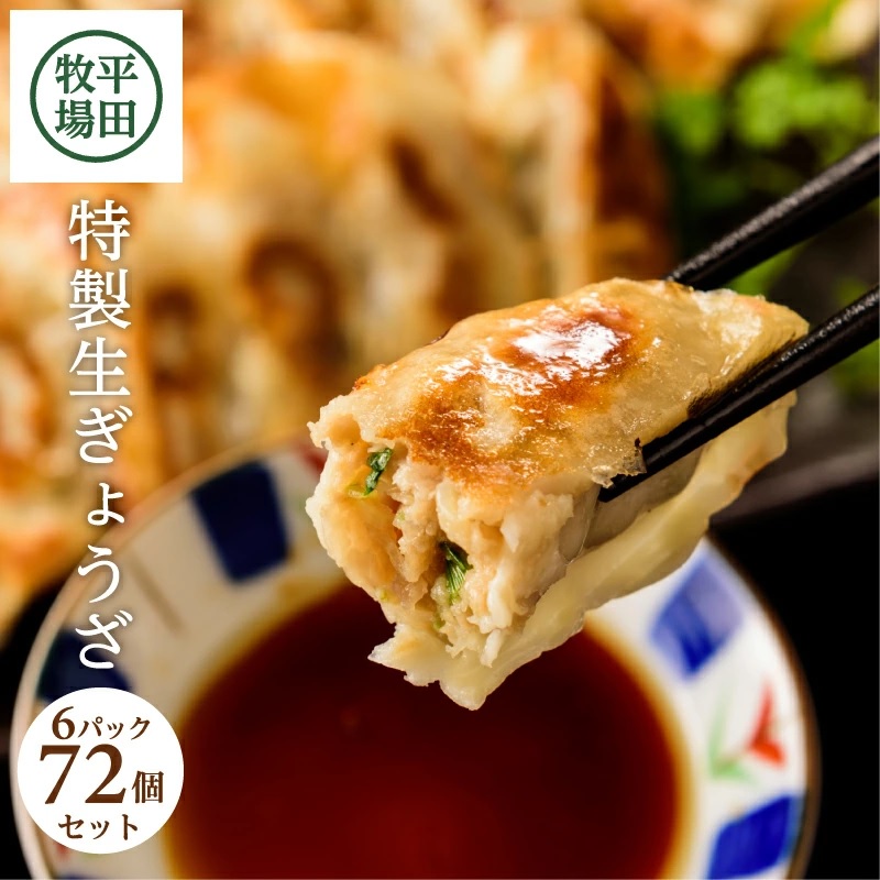 SA0779　平田牧場　特製生ぎょうざ 72個セット(12個入×6パック)
