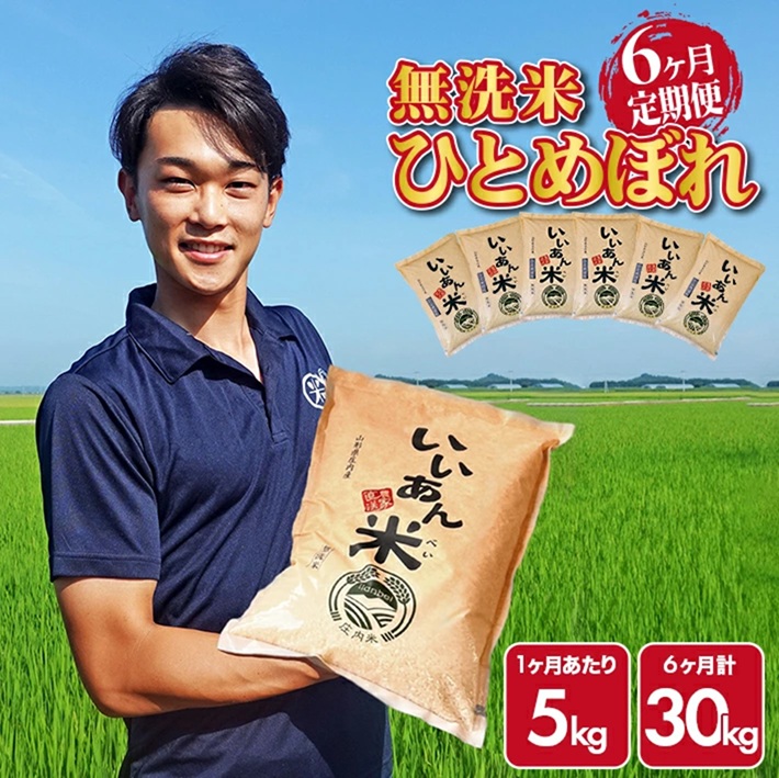 SM0057　【6回定期便】無洗米ひとめぼれ　5kg×6回(計30kg)　農家直送『いいあん米』AG