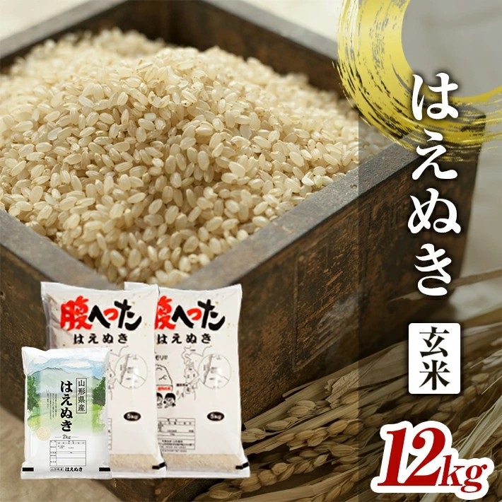 SE0455　令和6年産【玄米】はえぬき　12kg(5kg×2袋+2kg×1袋) YA