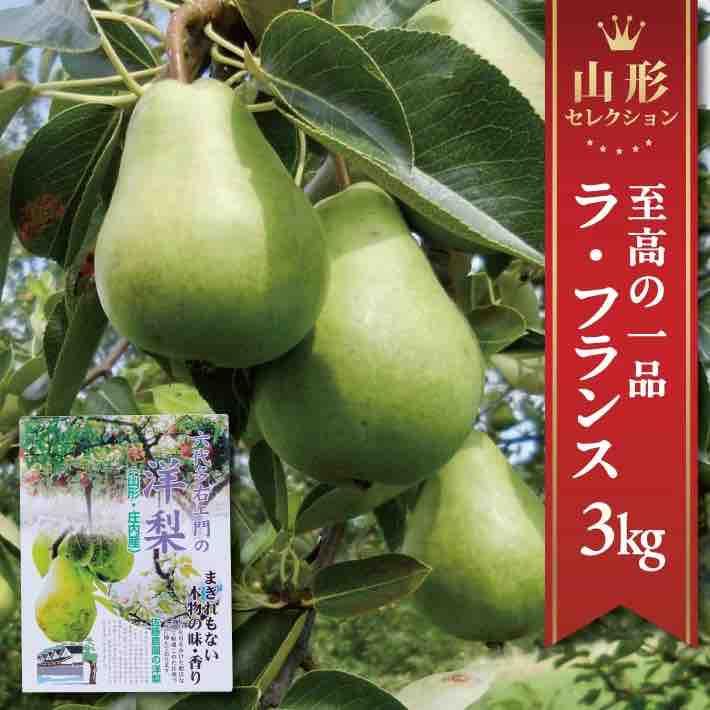 SA2719　六代多右エ門　西洋梨 特選 ラ・フランス《山形セレクション》　約3kg(9～10玉) 2L～3Lサイズ 化粧箱入