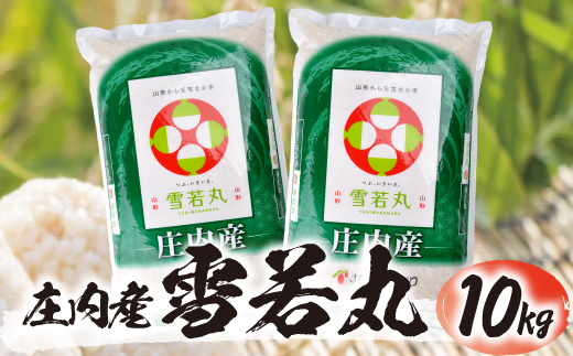 SD0234　雪若丸 5kg×2袋 計10kg 令和7年産米 山形県庄内産  東北 酒田市 庄内地方 庄内平野 お米 精米 白米 ブランド米 庄内米 ごはん ご飯 農協 産地直送 JA庄内みどり