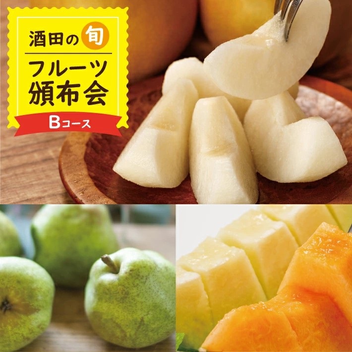 SE0479　【3回定期便】酒田の季節のフルーツ頒布会 Ｂコース2026(プレミアム〔大玉〕メロン、刈屋梨、ラ・フランス)