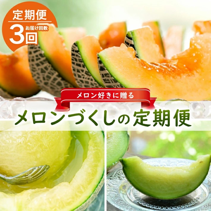 SE0503　【3回定期便】メロン好きに贈る メロンづくしの定期便2026(1) (アンデスメロン、しっかり娘、アールスメロン)