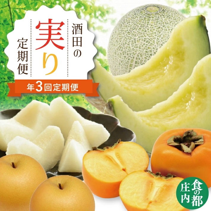 SD0215　【3回定期便】酒田の実り定期便2026 (アンデスメロン、刈屋梨、庄内柿)