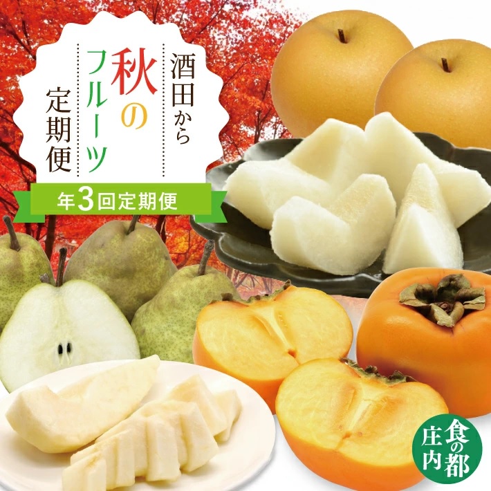 SE0478　【3回定期便】酒田から秋のフルーツ定期便2026 (刈屋梨、庄内柿、ラ・フランス)