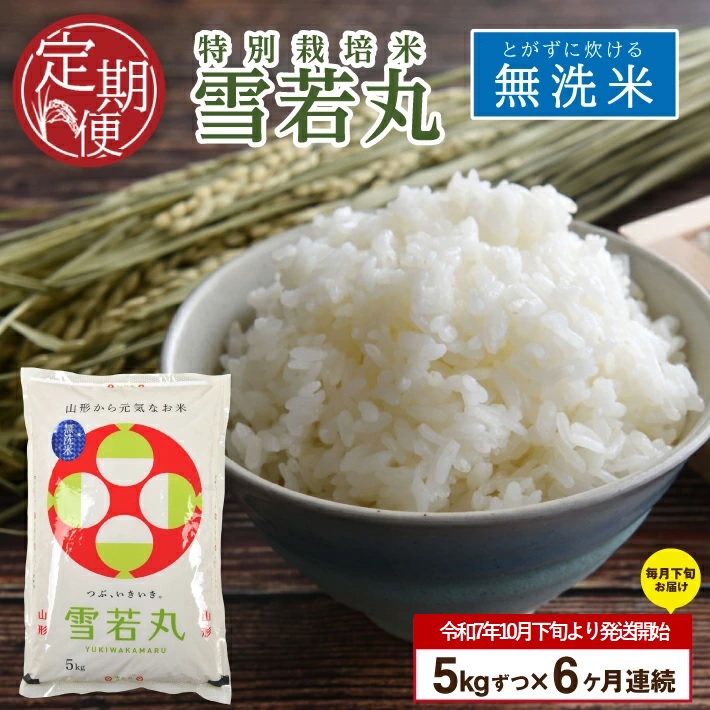 SJ0048　【6回定期便】令和7年産 無洗米 特別栽培米 雪若丸　5kg×6回(計30kg)10月下旬発送開始「農家直送」 KA