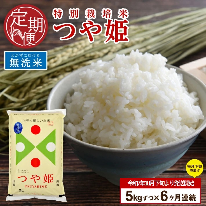 SM0027　【6回定期便】令和7年産 無洗米 特別栽培米 つや姫　5kg×6回(計30kg)10月下旬発送開始「農家直送」 KA