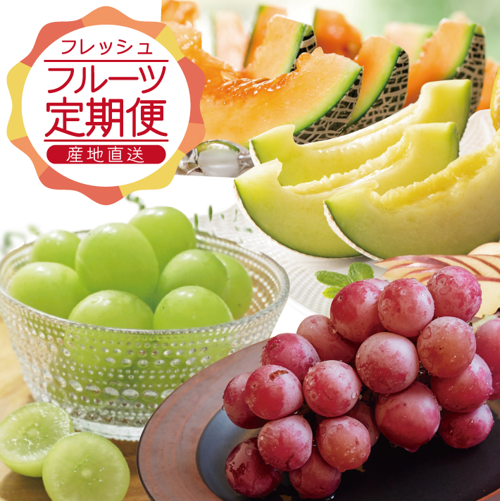 SE0465　【3回定期便】農家直送 フレッシュフルーツ定期便2026 (庄内メロン、青ぶどう、赤ぶどう)