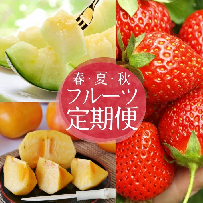 SC0628　【3回定期便】自然の恵み　春・夏・秋フルーツ定期便2026 (いちご、青肉メロン、柿)