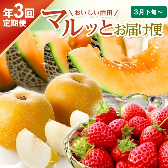 SE0484　【3回定期便】おいしい酒田 マルっとお届け便2026(1) 3月下旬～ (いちご、紅花メロン、刈屋梨)
