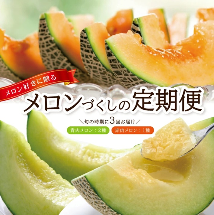 SE0507　【3回定期便】メロン好きに贈る メロンづくしの定期便2026(2) (甘えんぼう、しっかり娘、アールスメロン)