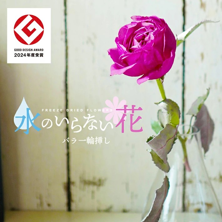 SL0198　水のいらない花　ゼロフラワー「バラ一輪挿し」