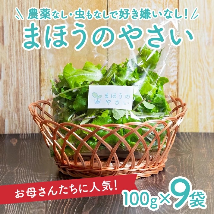 SA2136　「まほうのやさい すこやかセット」　ベビーリーフ　計900g(100g×9袋)