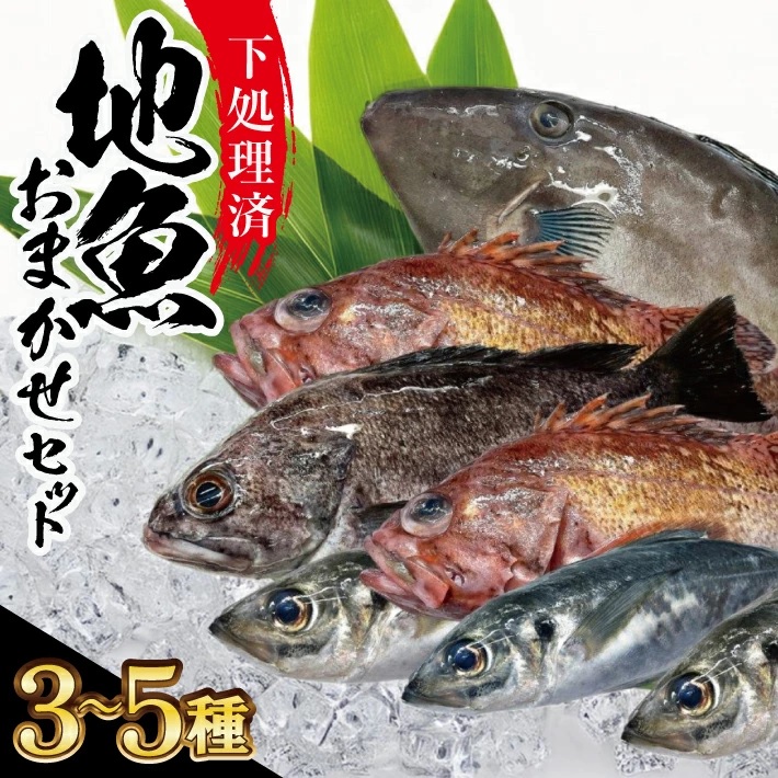 SB0522　地魚おまかせセット(下処理済)　計1kg以上(3～5種類入)